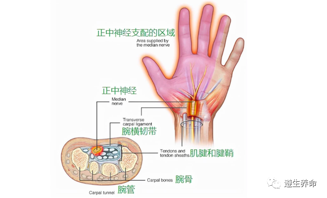 造成關節滑膜出現病變,使關節以及周圍軟組織出現疼痛和腫脹現象,並且