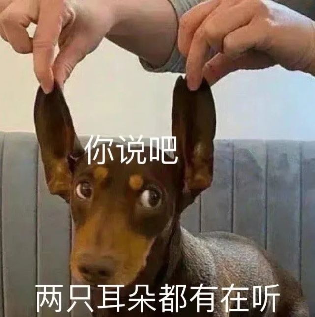 表情包:看看你几斤几两