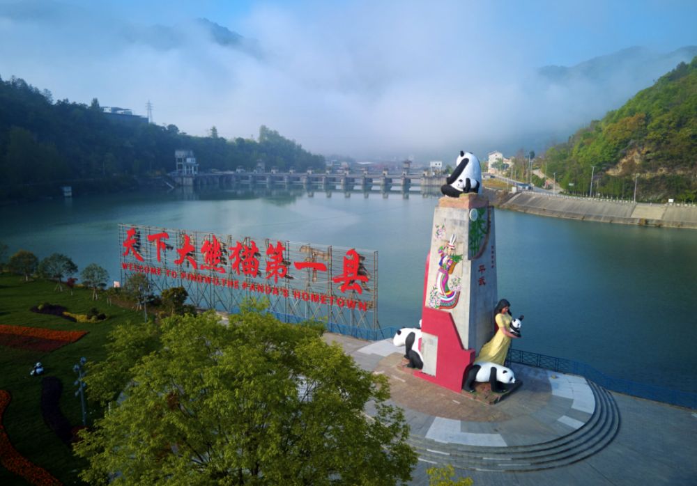 "天下大熊猫第一县"背后的数字奥秘