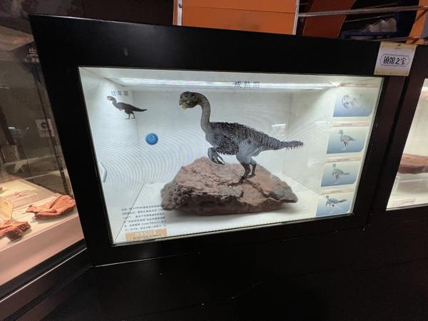 最小的恐龙蛋,形象的地球演变过程展厅,鸡蛋大小的狗头金,还有各种