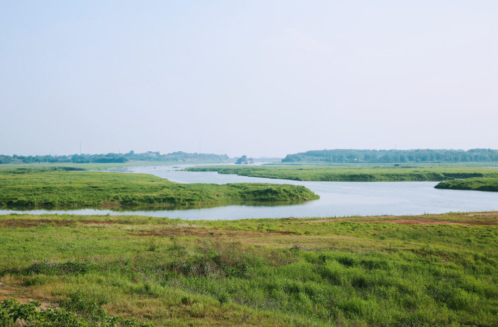 千顷蒹葭十里洲汨罗江湿地守护见闻