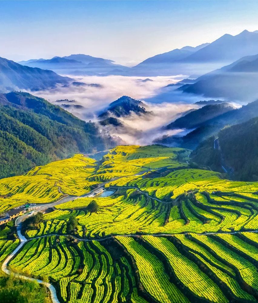 喜报|龙泉市摄影家协会被省摄影家协会评为2021年度先进集体_腾讯新闻