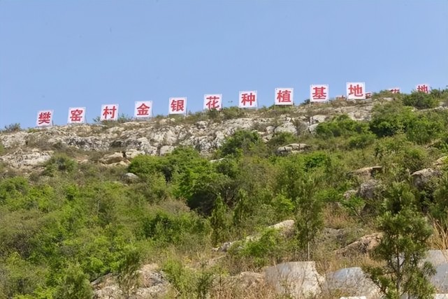 汝州市陵头镇:谋划"三带一园"助力乡村振兴