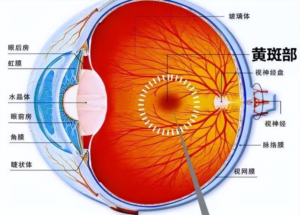 旧时老北京徐正江陆军司令部2023已更新(腾讯/微博)