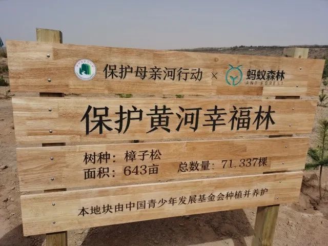 中卫市副市长肖汉华介绍说,2021年至今,蚂蚁集团通过蚂蚁森林项目已