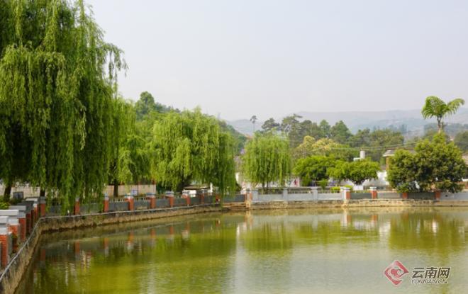 近年来,云南红河哈尼族彝族自治州开远市小龙潭镇积极探索农村人居