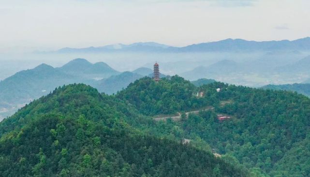 今天,他们在西湖山上做了一件有意义的事!