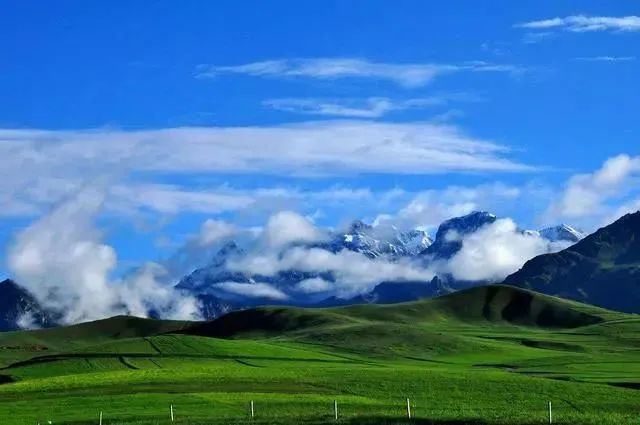 09 喀拉峻草原喀拉峻草原海拔在2000-2800米之間,屬於高山草甸草場