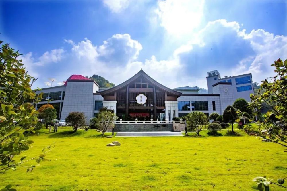 山水桃花江天下美人窝乡村旅游助力乡村振兴特别策划美人谷让你在美人