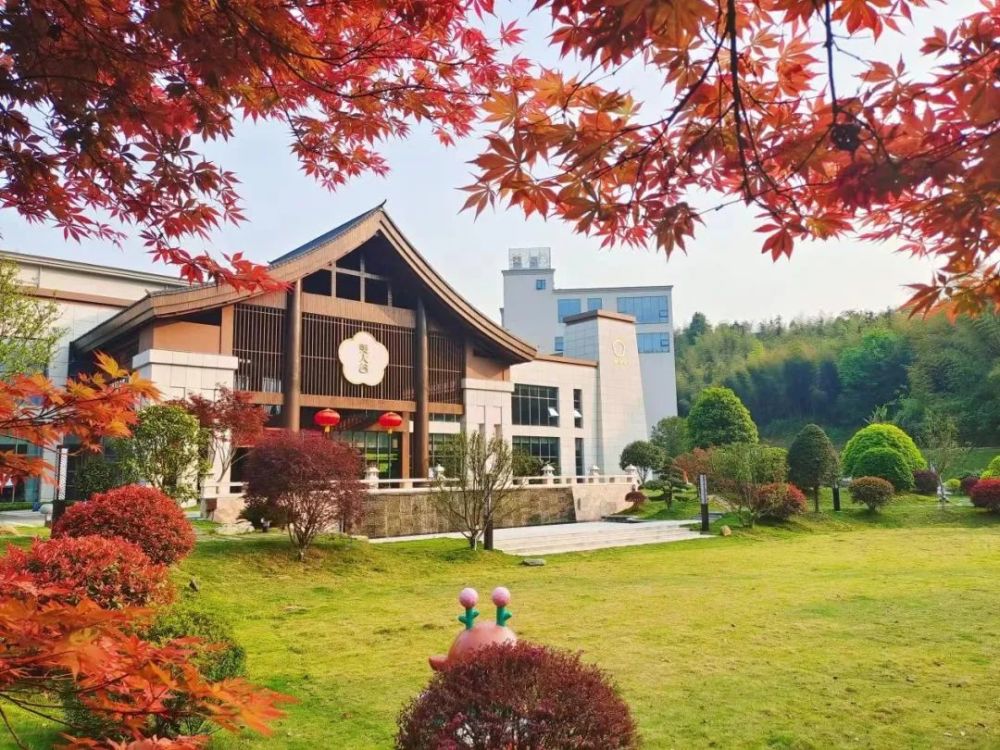 山水桃花江天下美人窝乡村旅游助力乡村振兴特别策划美人谷让你在美人