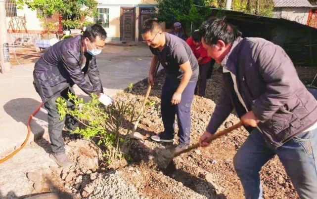 雙提升專項行動魯甸媒體人搶抓時機忙植樹