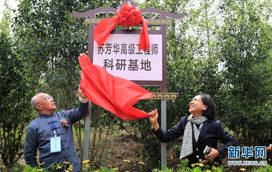 高黎贡山茶陈亚忠简介图片