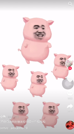 粉色的摇摆猪表情包