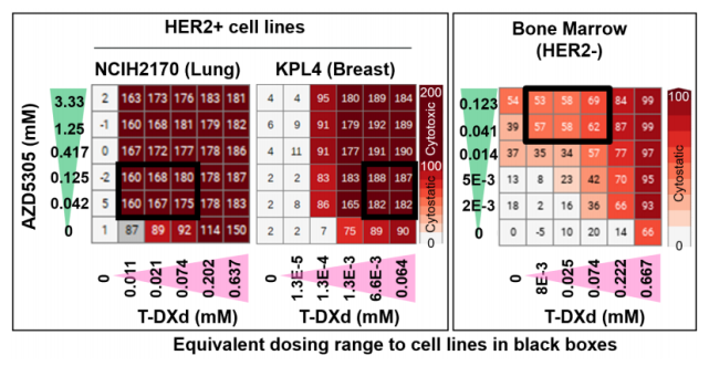 盛湲教授:adc药物的狂欢—aacr t-dxd最新数据盘点