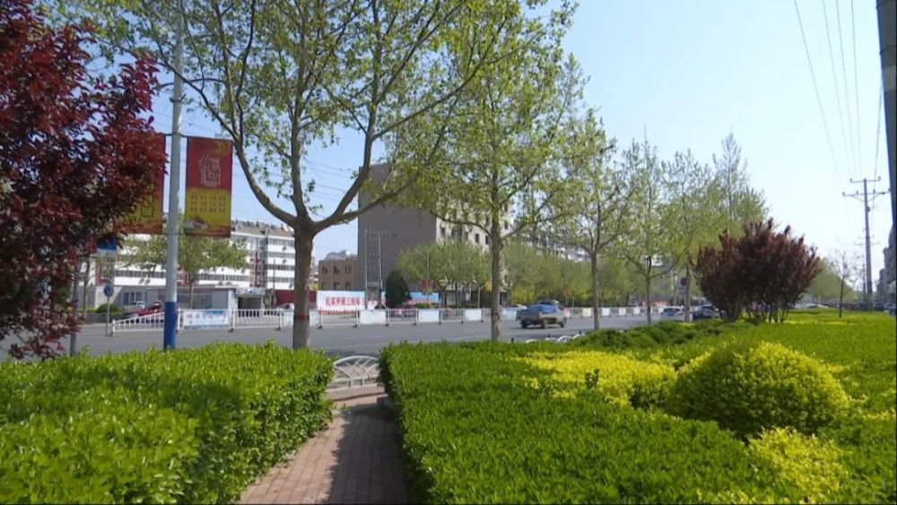 扩大四创建】武强县扎实做好园林绿化 着力打造国家园林县城_腾讯新闻