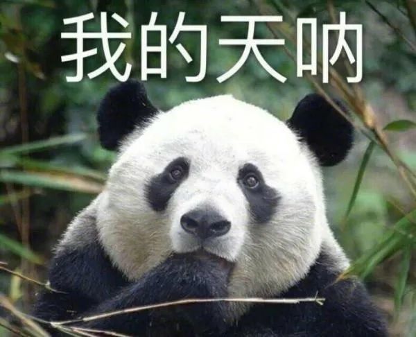 熊猫核酸表情包图片
