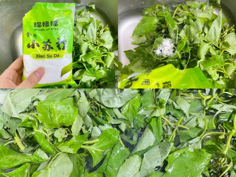 被误解很深的野菜 其实浑身都是宝 秋季多吃解暑气 配上猪油更鲜香 腾讯新闻