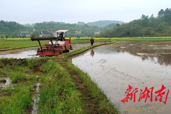 衡南县柞市镇此是吾乡好时节遥看四野尽春耕