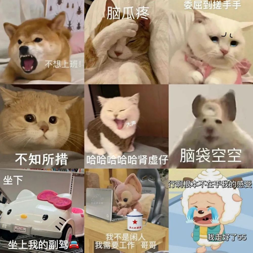 第四百六十弹今天要给大家分享的表情包是红姐表情包小福利时刻比心心