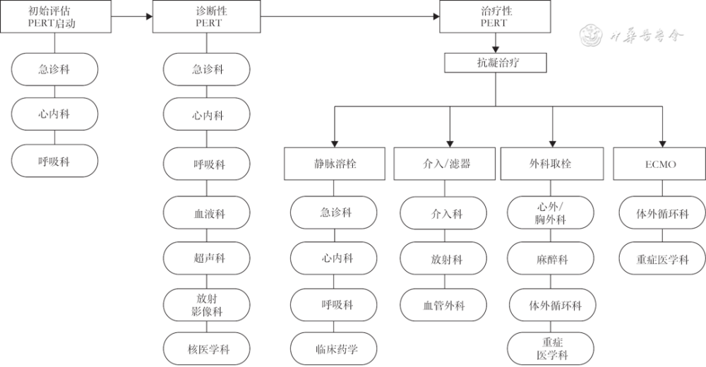 2,救治流程图pe:肺栓塞,sdu:过渡监护病房,ecmo:体外膜肺氧合,tte:经