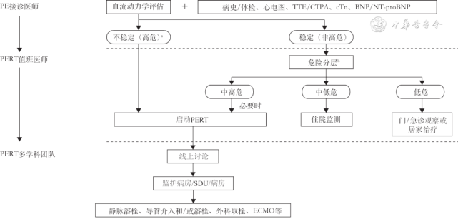 ecmo:体外膜肺氧合,tte:经胸超声心动图,ctpa:ct肺动脉造影,ctn:心肌