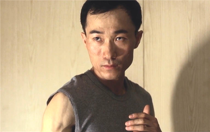 在客串了几部韩国功夫片后,元振被宝禾影业签下,转战香港影坛.