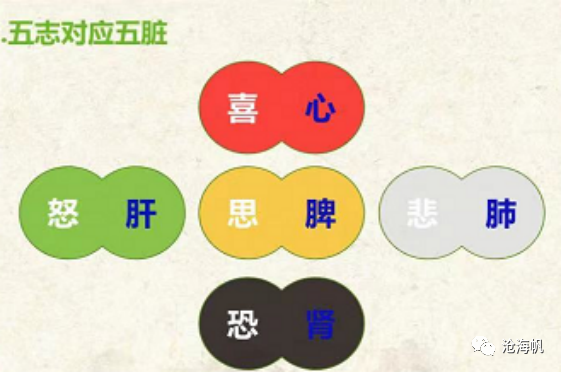 喜伤心思伤脾恐伤肾悲伤肺怒伤肝为什么不一样的情绪会伤害不一样的