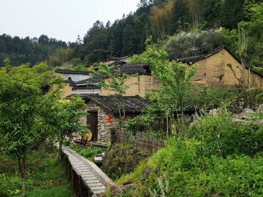 永康塘里村图片