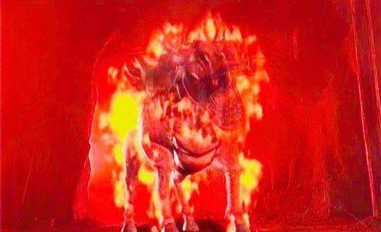 风云有三大神兽火麒麟只是青铜级别这个怪物八个人才解决