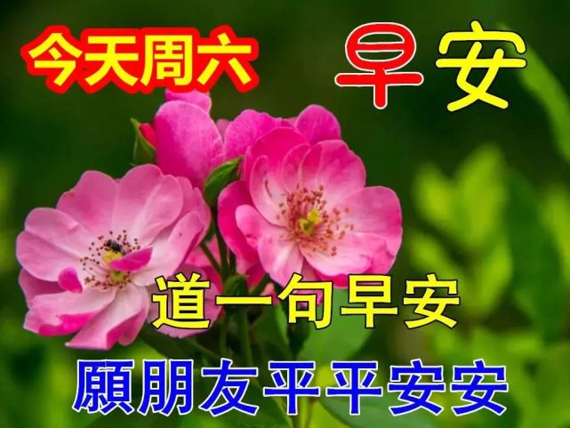 2022年4月30日星期六早安圖片大全,農曆三月三十早上好正能量問候語