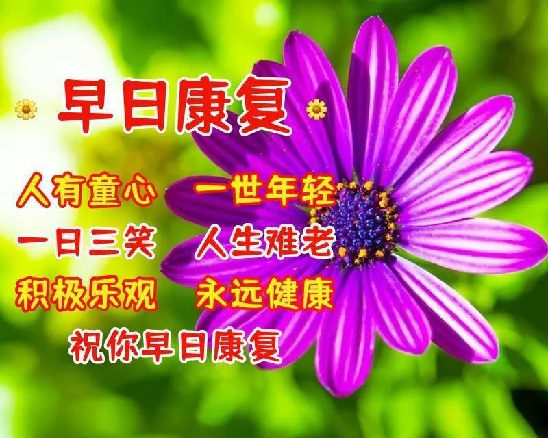 病人康復祝福語大全祝病人早日康復的祝福語