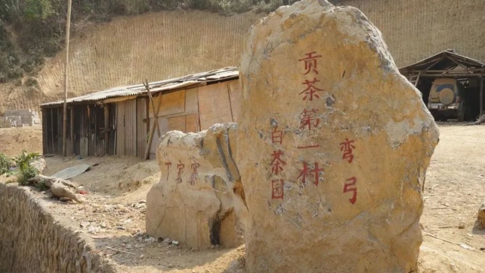 普洱茶七大名山冰岛老寨昔归易武五寨尊享开售