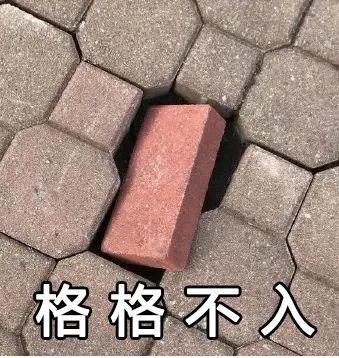 与城市文明形象格格不入……然而总有一些人的行为每一位交通参与者都