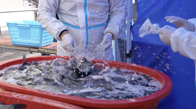 活魚奶粉肉蔬包……民生保供提速!