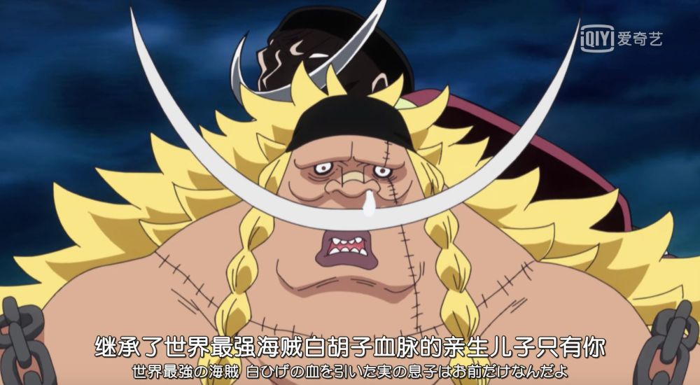 海賊王 四皇的 子女 沒一個省心的 難怪他們成不了 王 天天看點