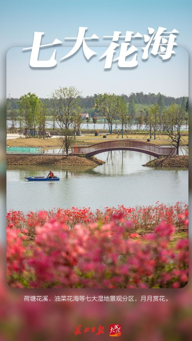 5月开园 武汉这座国家级湿地公园 可以吃 杜公湖 国家湿地公园 徐志全 湿地公园 武汉 湿地