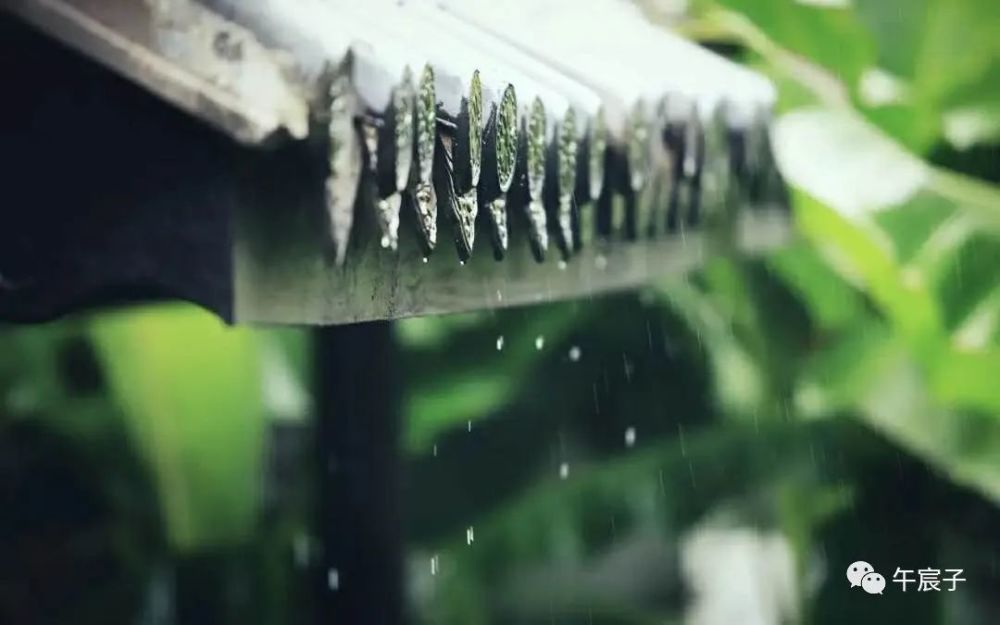 午宸子谈壬寅虎年无论贫富对每个人来说都很重要 腾讯新闻