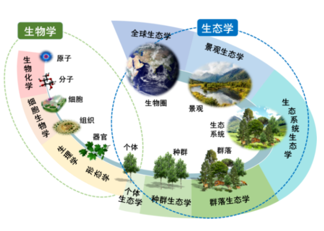 北大学科生态学建设生态文明促进人类发展