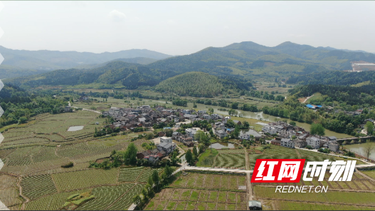 许家洞镇太和村蔬菜基地绘就乡村振兴新画卷