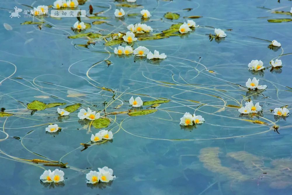 当泸沽湖遇上水性杨花5月份的夏季就充满了浪漫的期待