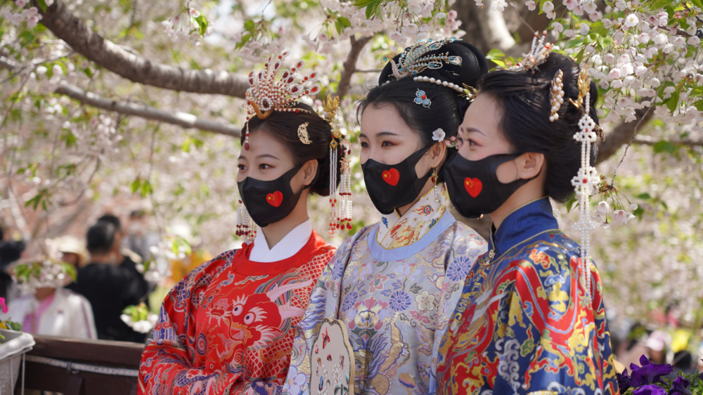 青白江樱花节汉服图片