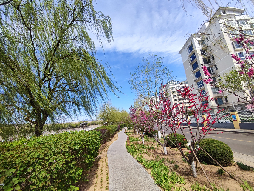 今年怀柔街景怎么这么好看原因找到啦