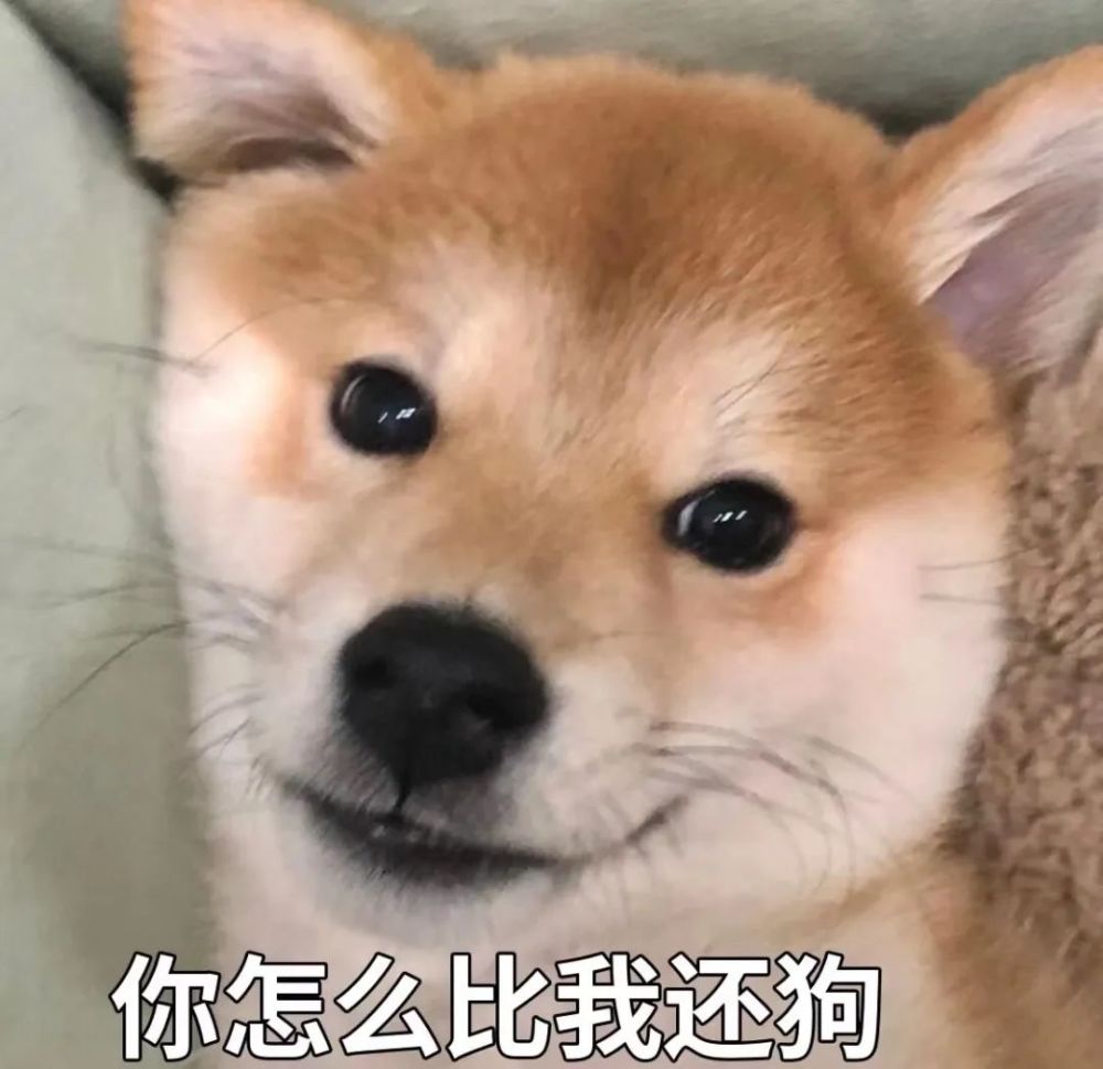 热门表情包20220427