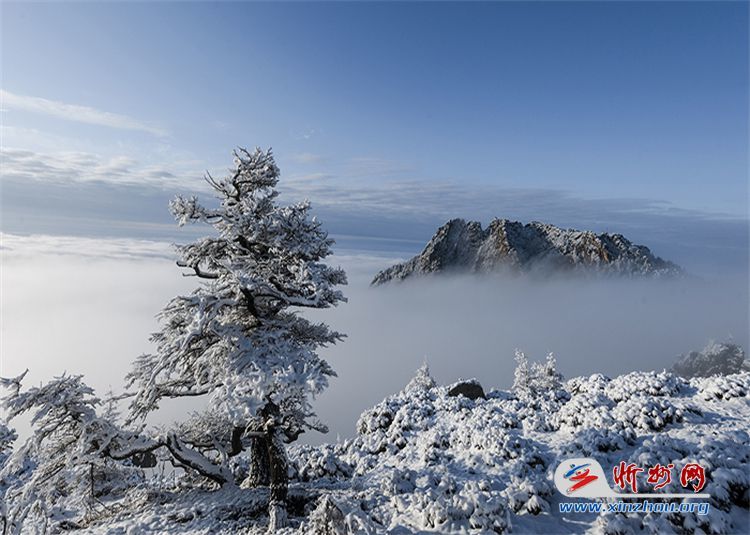 芦芽山雪景图片