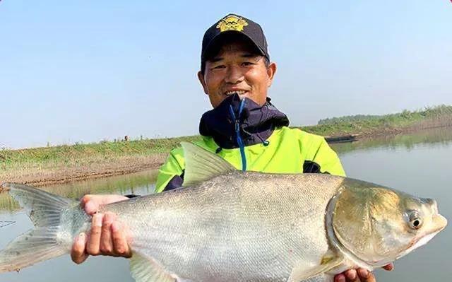 邓刚钓鱼神操作,高收费水库真那么好钓?是剧情还是真有如此技术