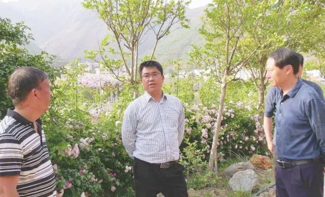 杨绪春到龙头山镇调研乡村振兴示范点建设工作_腾讯新闻