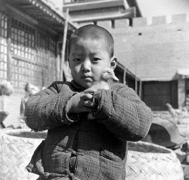 历史老照片：1947年，北京城墙下的养鸭人、养鸭场景三年级学剑桥英语还是同步英语