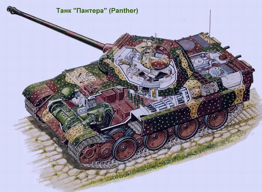 豹式(德語:panzerkampfwagen v panther)是第二次世界大戰中納粹德國