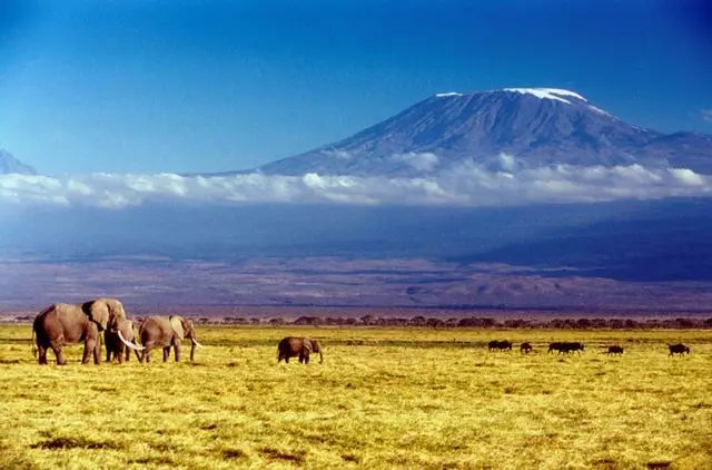 登乞力馬扎羅山不難但鬼知道他們經歷了什麼乞力馬扎羅山地理知識合集