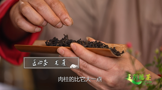 多彩福茶|"添炉烹雀舌,洒水浄龙须" 品一泡齿颊留香的武夷"龙雀"